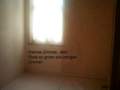 Photo Number 5